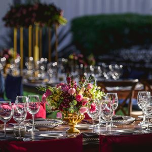 cd54f9cdd8ab7eae9b2cd3350a804dd6ca2162c5